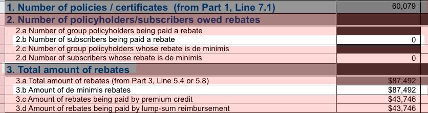 2018-mlr-rebates-lessons-learned-plus-all-50-states-dc-in-one