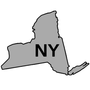 New York: NYSoH releases market share breakout by carrier | ACA Signups